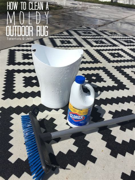 how to clean mold and mildew from outdoor carpet